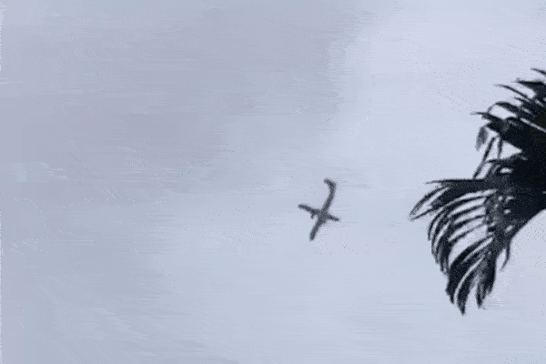 Xe buýt lao lên vỉa hè, người phụ nữ thoát chết trong gang tấc-2