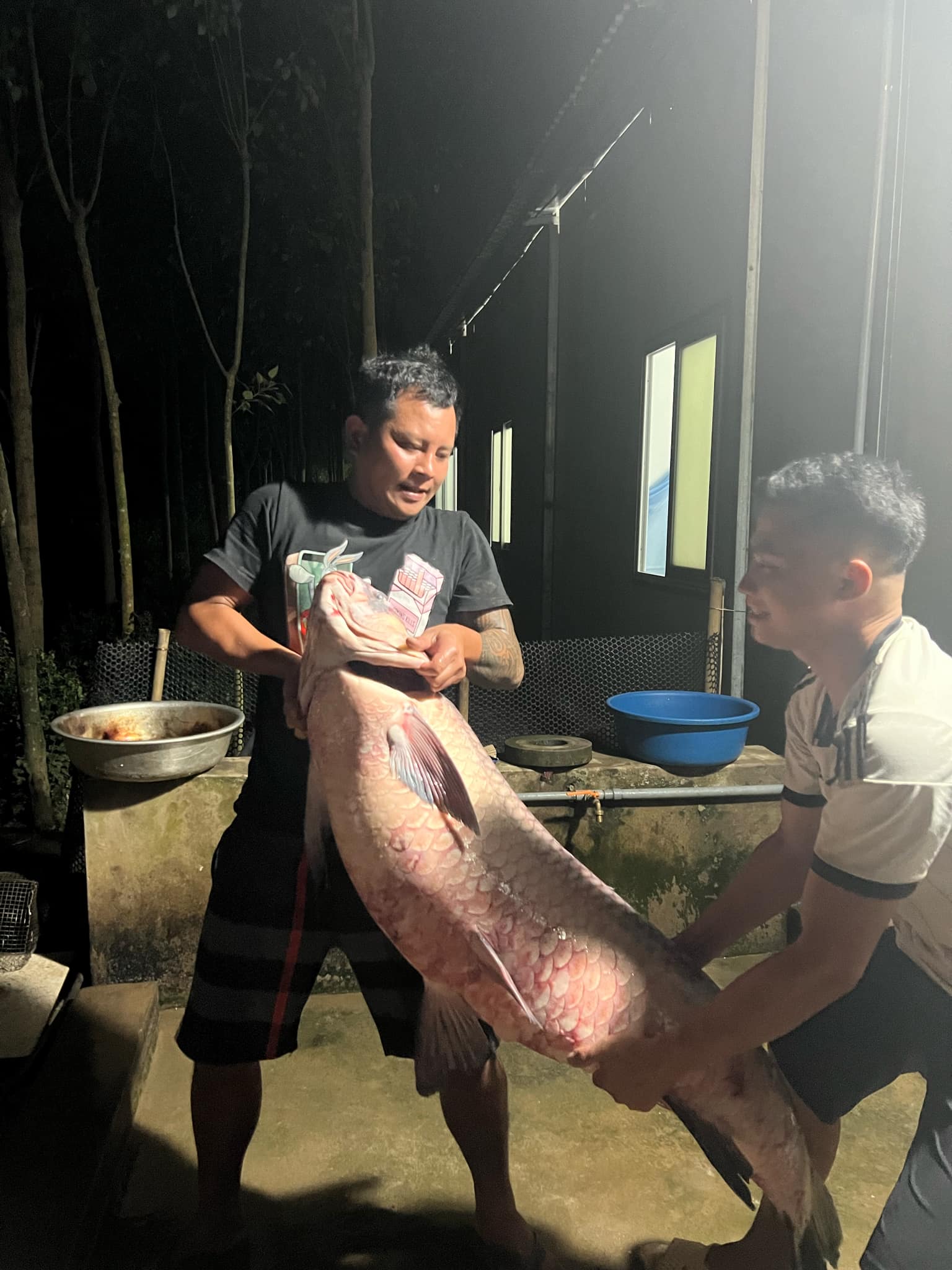 Đại gia Hà Nội chi hơn 30 triệu đồng để mua một con cá trắm khủng”-1