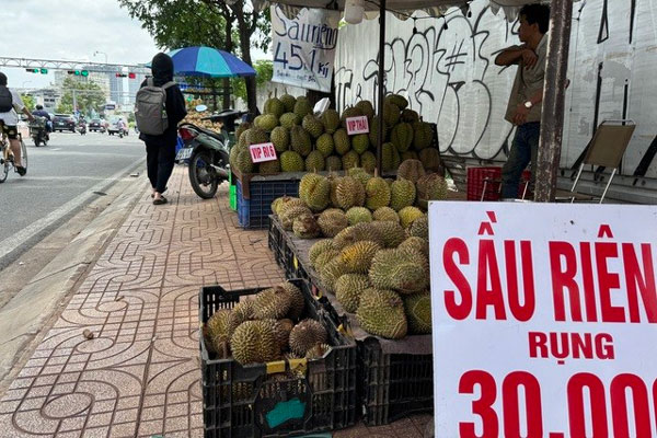 Sầu riêng 30.000 đồng/trái bán đầy vỉa hè TPHCM-2