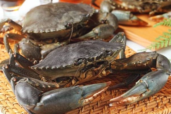 Cách căn chỉnh đèn pha ô tô bị lệch mà ai cũng có thể tự làm tại nhà-7