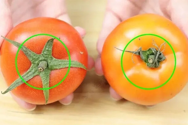 Có nên cạo vỏ quả sấu trước khi trữ đông?-3