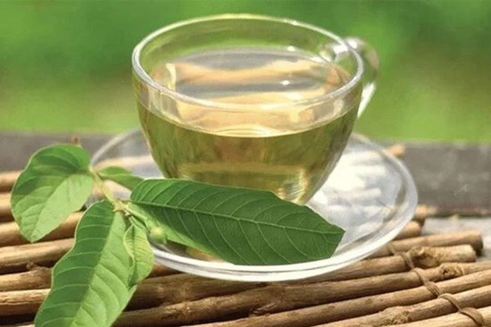 Tác dụng của lá ổi với sức khoẻ