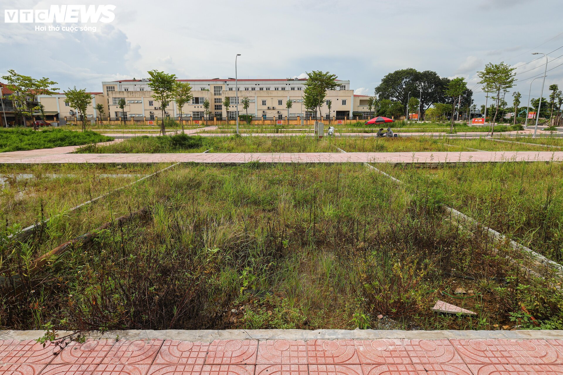 Cận cảnh khu đất đấu giá cao bất thường ở Hoài Đức, Hà Nội-2