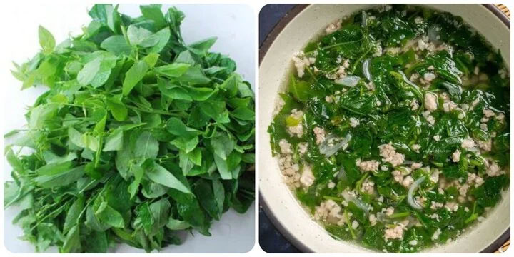 Những ai nên hạn chế ăn rau ngót?-1