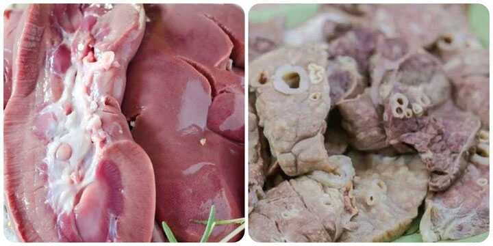 5 bộ phận nào của lợn không nên ăn nhiều?-1