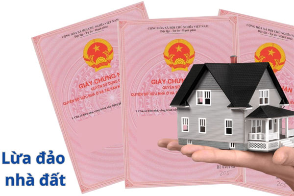 Góp tiền đầu tư ‘lướt sóng’ bất động sản, luật sư bị lừa 20 tỷ đồng-1