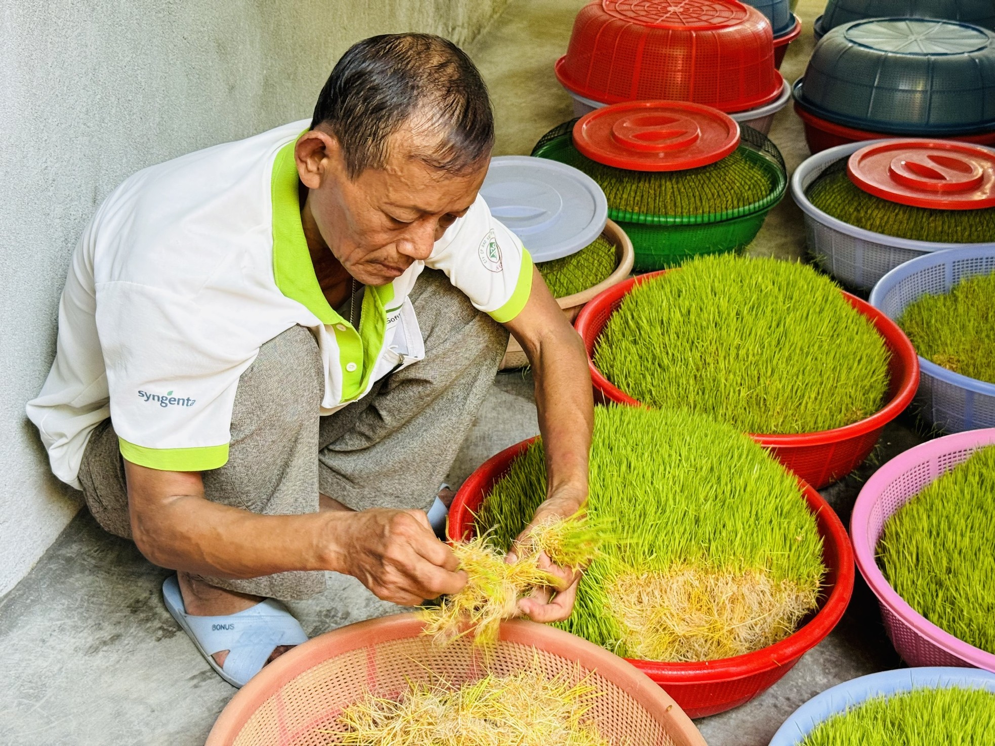 Nghề nấu mạch nha thơm ngon nổi tiếng cả nước-6