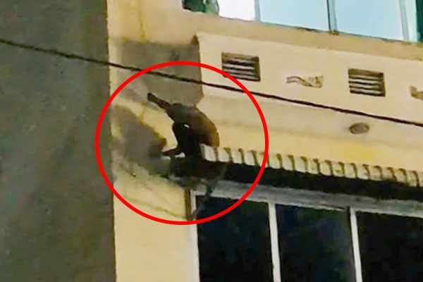 Kẻ trộm xe máy trèo qua cửa sổ khách sạn để trốn công an-1