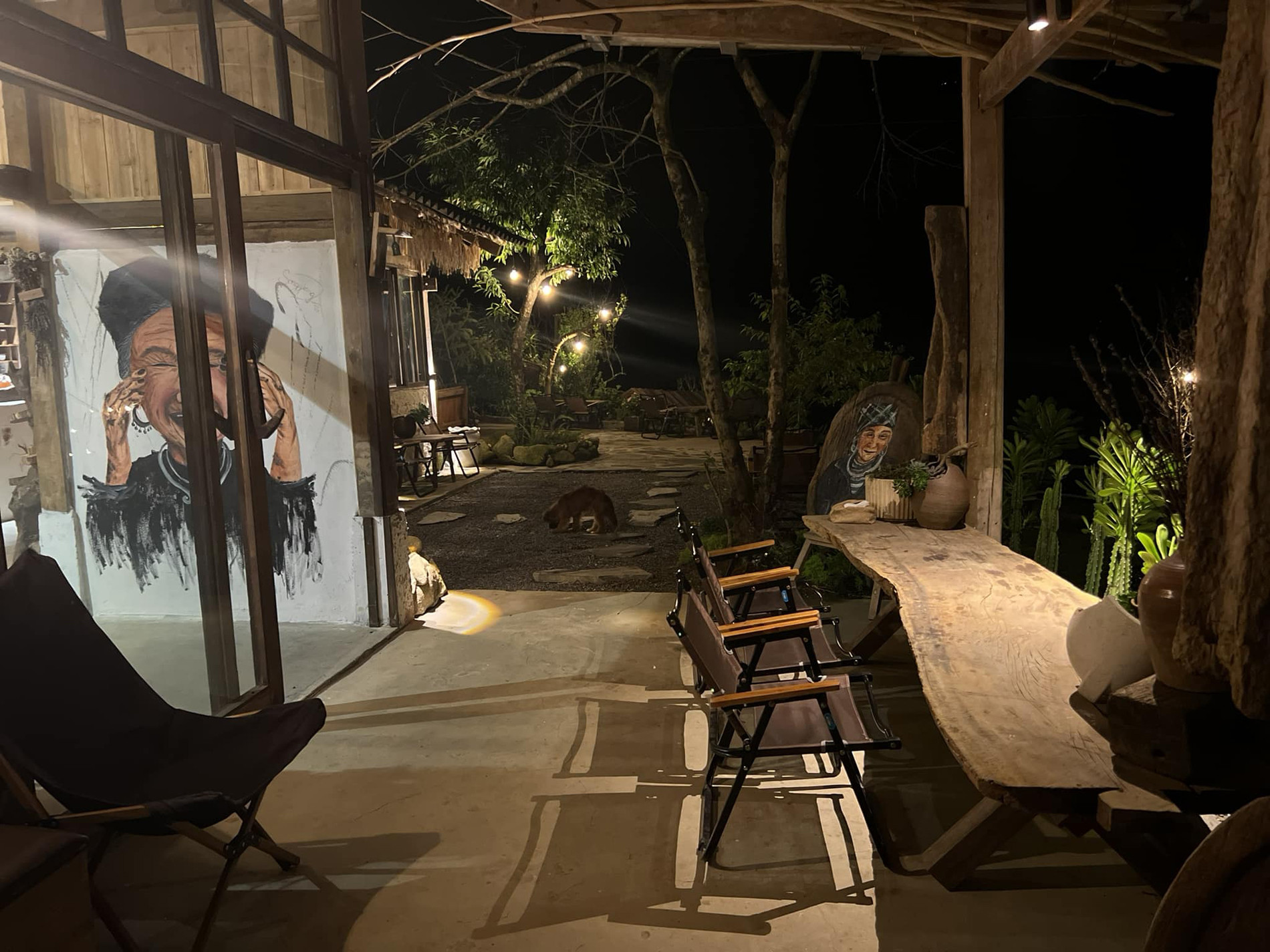 Thuê mảnh đất 800m2 giá 10 triệu/tháng, cô gái làm nhà vườn ‘chữa lành’ ở Sa Pa-11