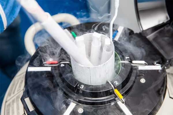 Thấy bé gái đi lạc giống hệt con mình, người mẹ nằng nặc đòi xét nghiệm ADN-2