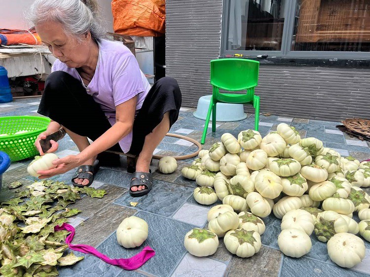 Bất ngờ loại quả quê mùa được biến tấu thành đặc sản Hà Nội, giá 50 nghìn đồng/quả-3