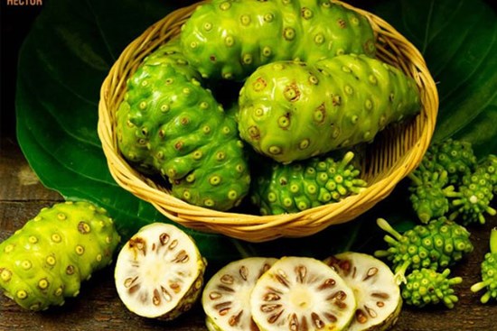 Cách sử dụng quả nhàu tốt cho sức khoẻ