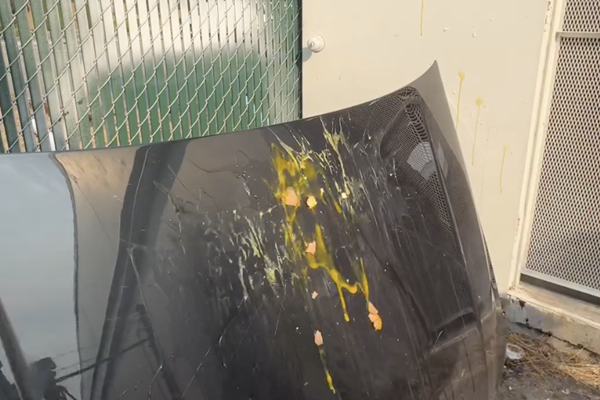 Những công dụng bất ngờ của máy sấy tóc-4