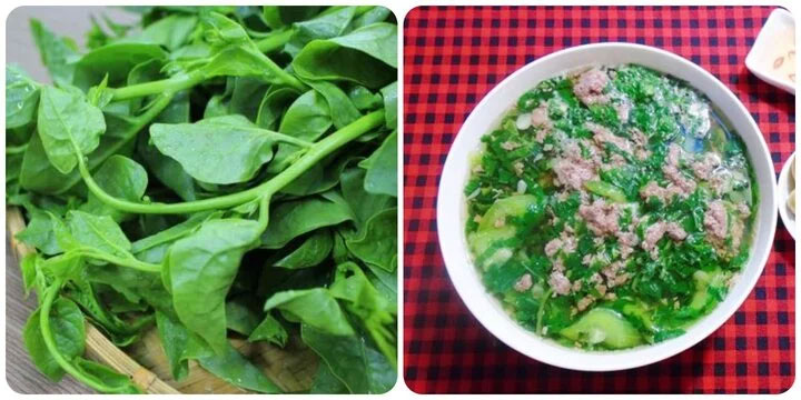 Những ai không nên ăn rau mồng tơi?-1