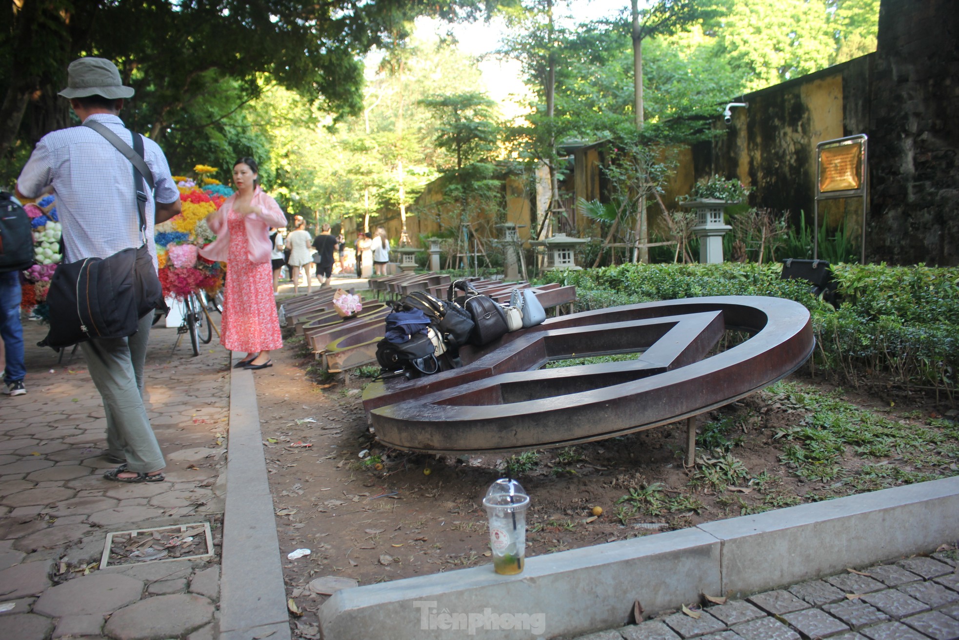 Nhếch nhác con đường đẹp nhất Hà Nội nhiều nàng thơ đổ xô check-in-16