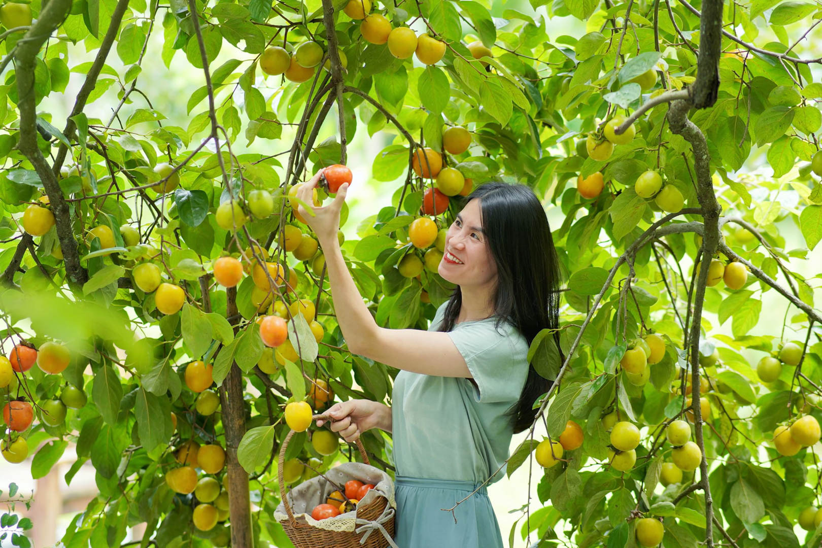 Người mẹ Hà Nội bỏ việc lương cao, về thung lũng hoang sơ xây nhà giữa vườn hồng-7