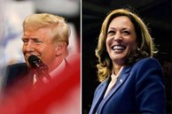 Thăm dò cử tri Mỹ: Bà Kamala Harris tiếp tục dẫn trước, nới rộng khoảng cách với ông Donald Trump