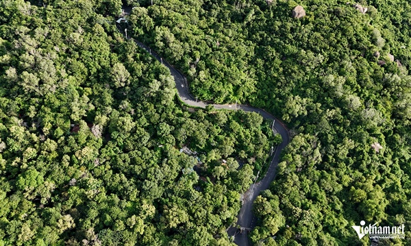 Cận cảnh các công trình không phép tại chùa do ông Thích Chân Quang trụ trì-4