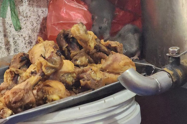 Phở 5.000 đồng ở Nam Định, khách thấy ngon ăn 6 bát liền-5