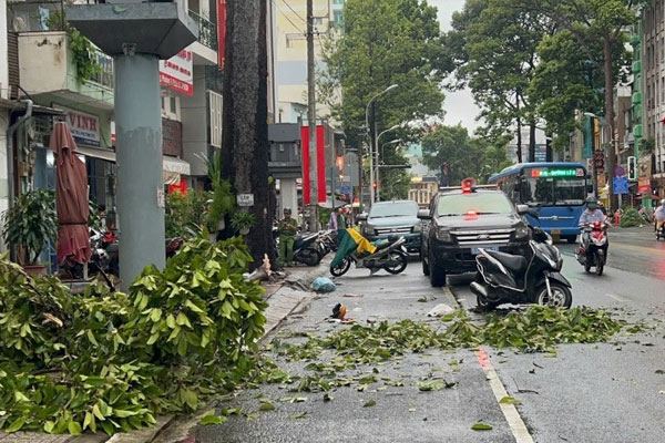 Một phụ nữ tử vong do nhánh cây rơi trúng đầu trong mưa lớn chiều nay ở TPHCM-1