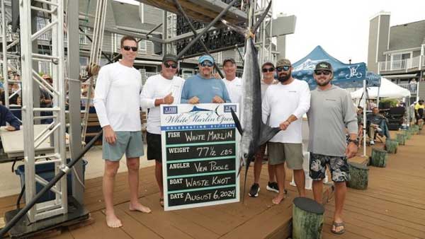 Cần thủ câu được con cá cờ nặng 35kg trị giá hơn 91 tỷ đồng-1