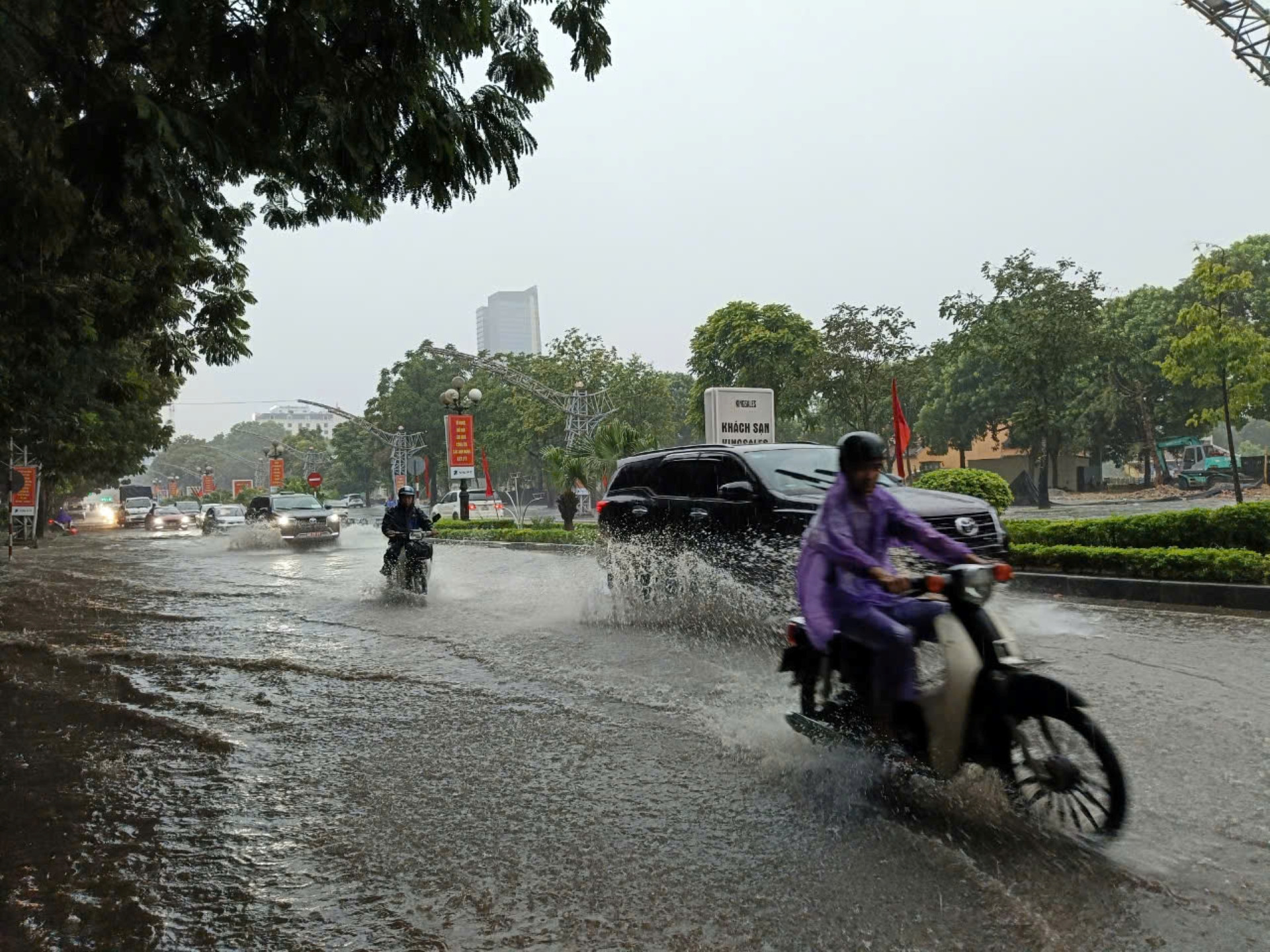 Cây cổ thụ đổ la liệt, đè lên ô tô và người đi xe máy ở Thanh Hóa-6