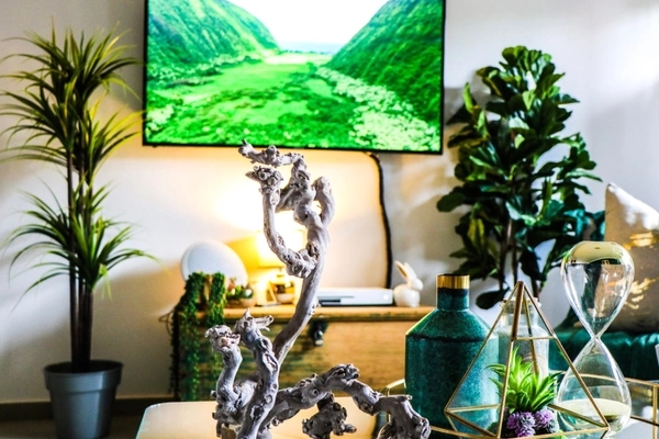 Bí kíp biến phòng khách của nhà diện tích nhỏ trở nên rộng rãi-2