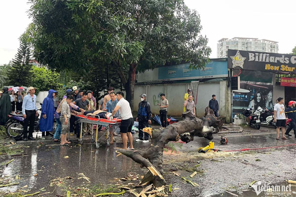 Chủ tịch Hà Nội: Không để người dân ở lại khu vực nguy hiểm khi bão số 3 đổ bộ-1