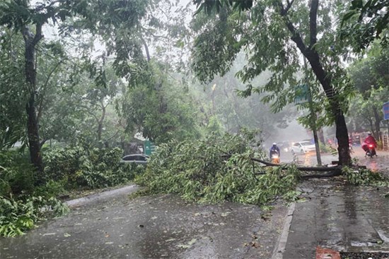 Quảng Ninh: Huyện Cô Tô giới nghiêm từ 20h tối nay để tránh bão