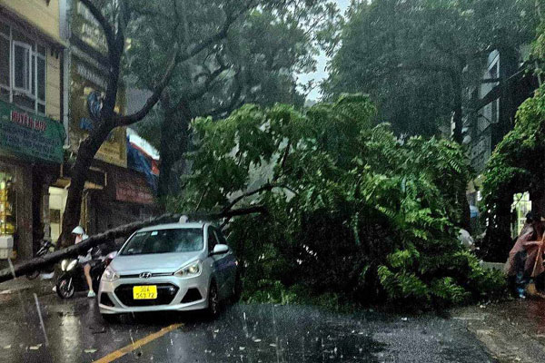 Nghiêm ngặt ở tại nhà, chờ bão số 3 Yagi đi qua-1