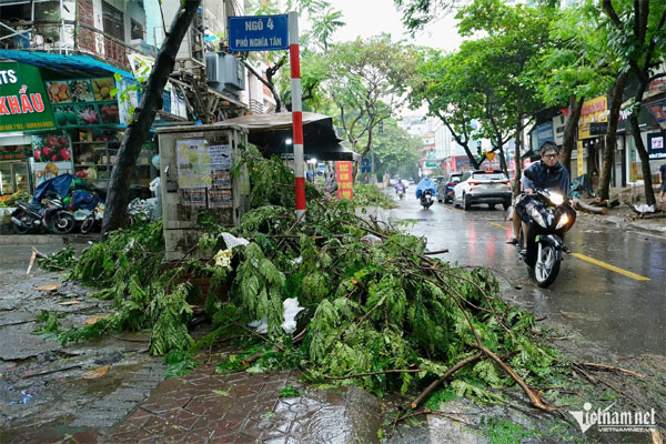 Bão số 3 tiệm cận bờ biển Quảng Ninh - Hải Phòng - Thái Bình-5