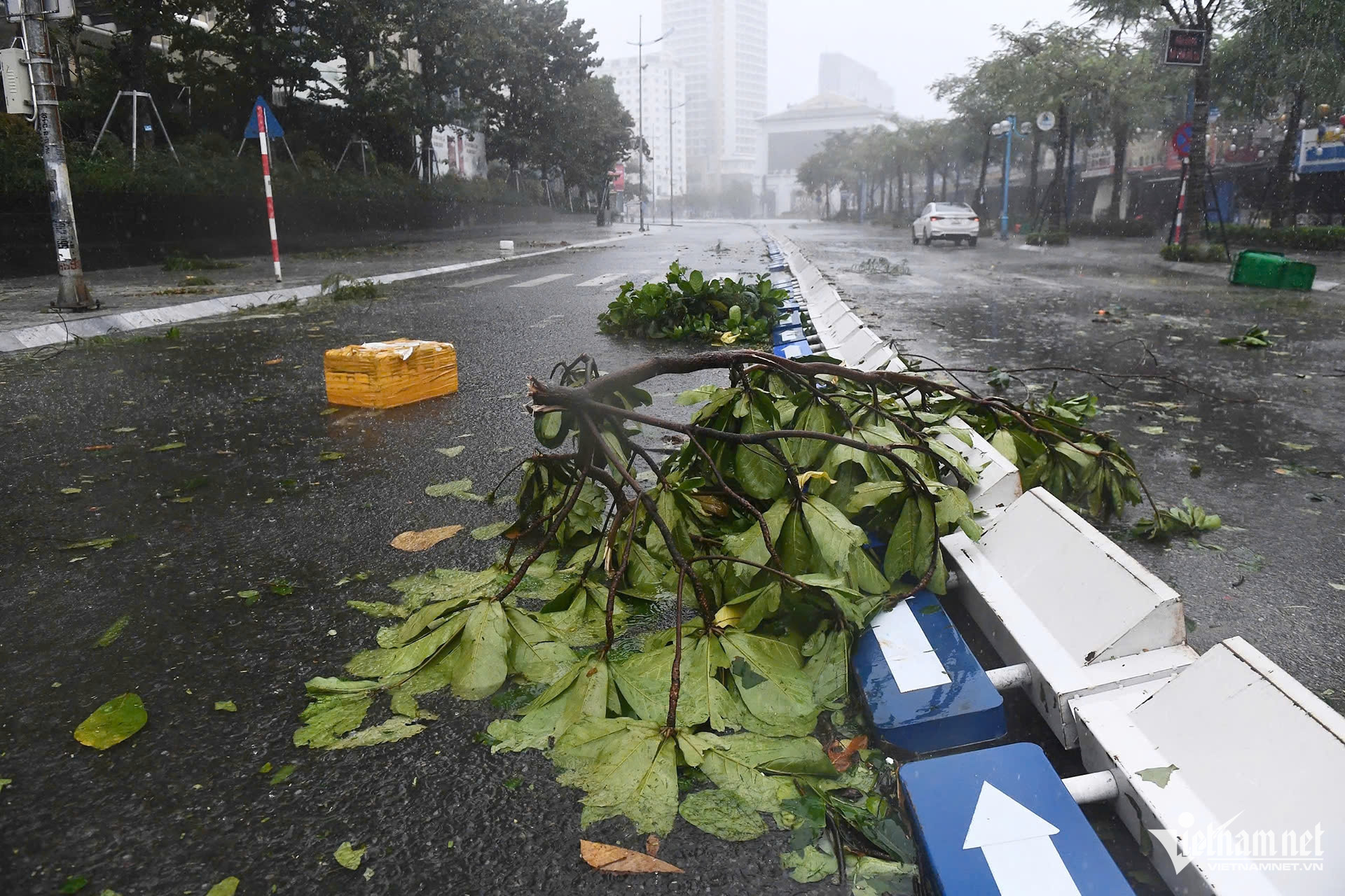 Bão số 3 tiệm cận bờ biển Quảng Ninh - Hải Phòng - Thái Bình-4