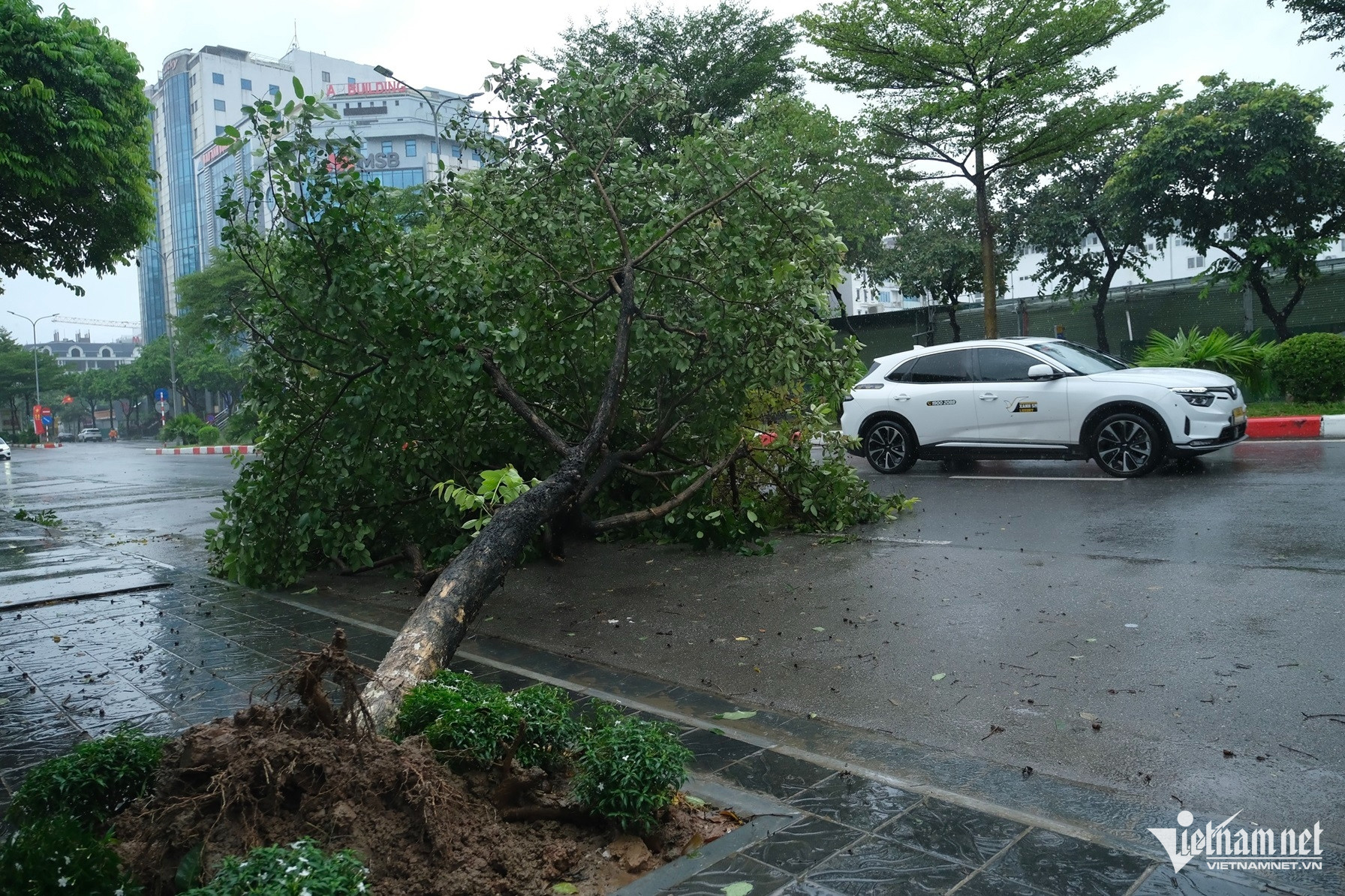 Bão số 3 đổ bộ Quảng Ninh - Hải Phòng: Tôn bay, kính sập ngổn ngang-11