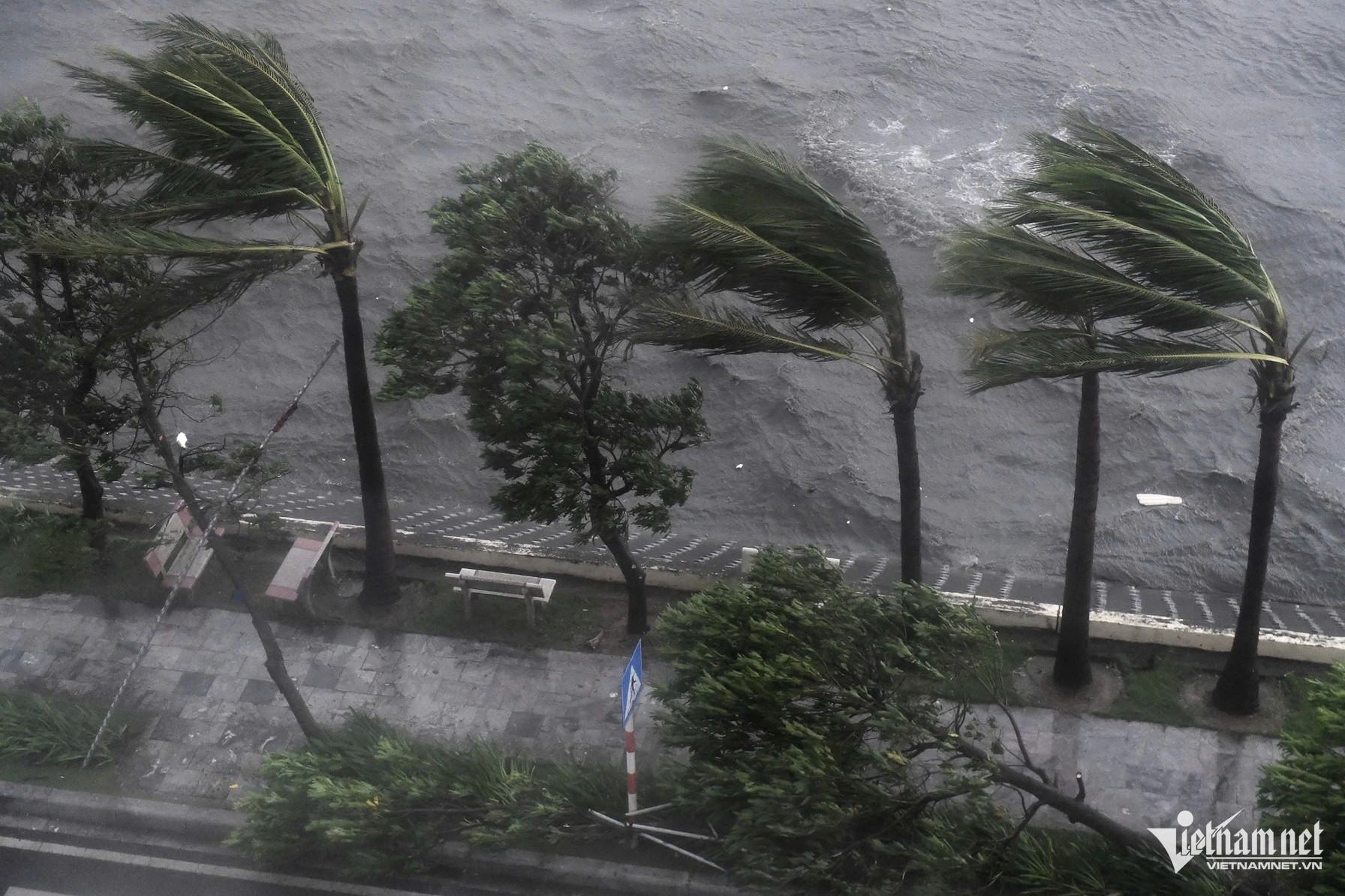 Bão số 3 đổ bộ Quảng Ninh - Hải Phòng: Tôn bay, kính sập ngổn ngang-12