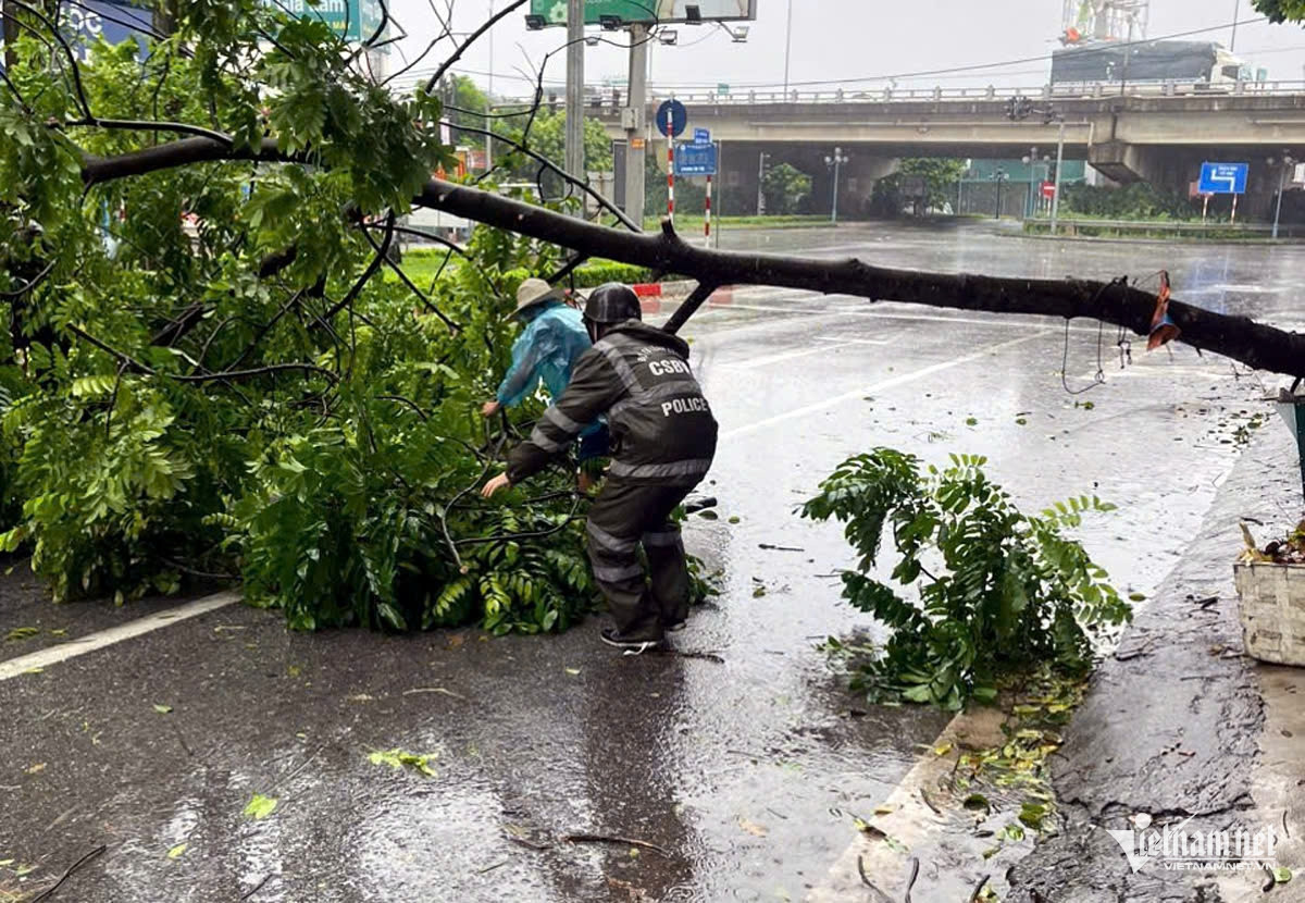 Bão số 3 đổ bộ Quảng Ninh - Hải Phòng: Tôn bay, kính sập ngổn ngang-18