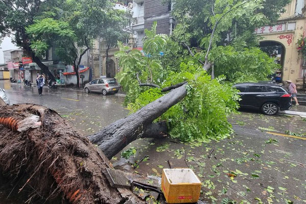 Hà Nội: Gió giật dữ dội, người và xe ngả nghiêng trên đường-14