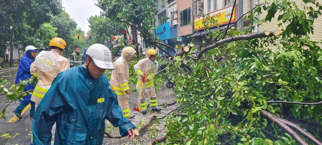 4 người chết, 78 người bị thương khi bão số 3 đổ bộ Quảng Ninh - Hải Phòng-2