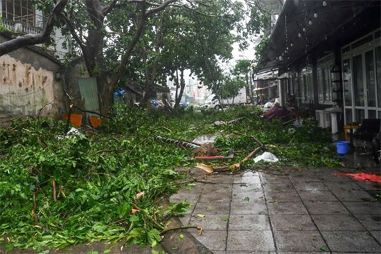 Dân Quảng Ninh kể lại phút kinh hoàng bão Yagi quét qua 'mái tôn ầm ập bay như diều'