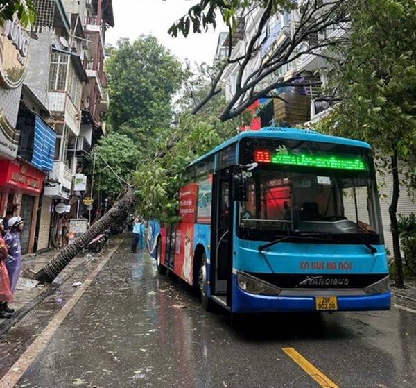 Có nên mở hé cửa hoặc cửa sổ khi có bão để giảm nguy cơ tốc mái, hư hại nhà cửa?-2