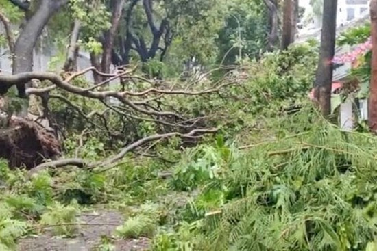 Khi nào bão Yagi qua Hà Nội?