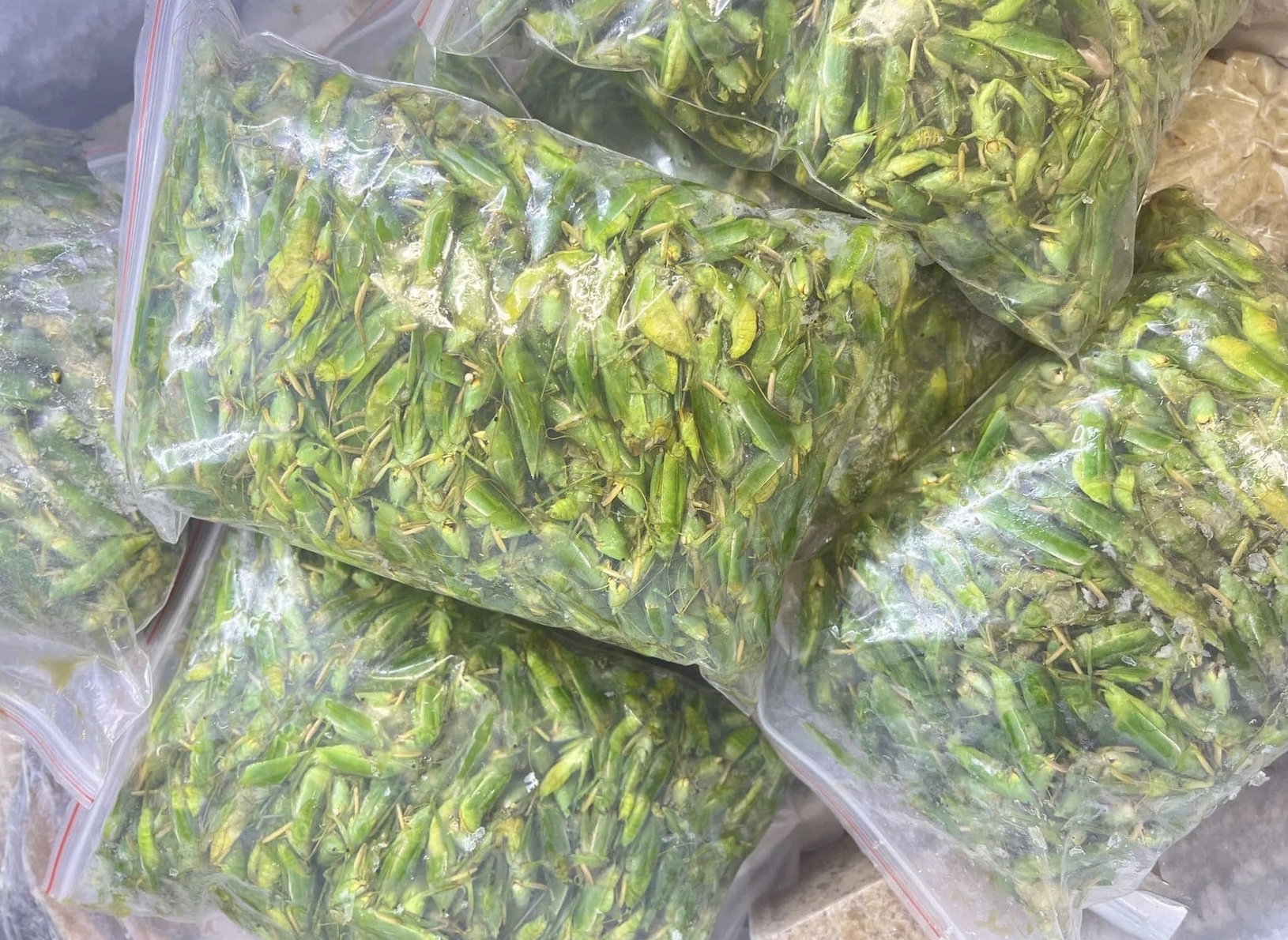 800 nghìn/kg vẫn đắt hàng, ‘tóp mỡ xanh’ thành món ăn của nhà giàu Hà Nội-1