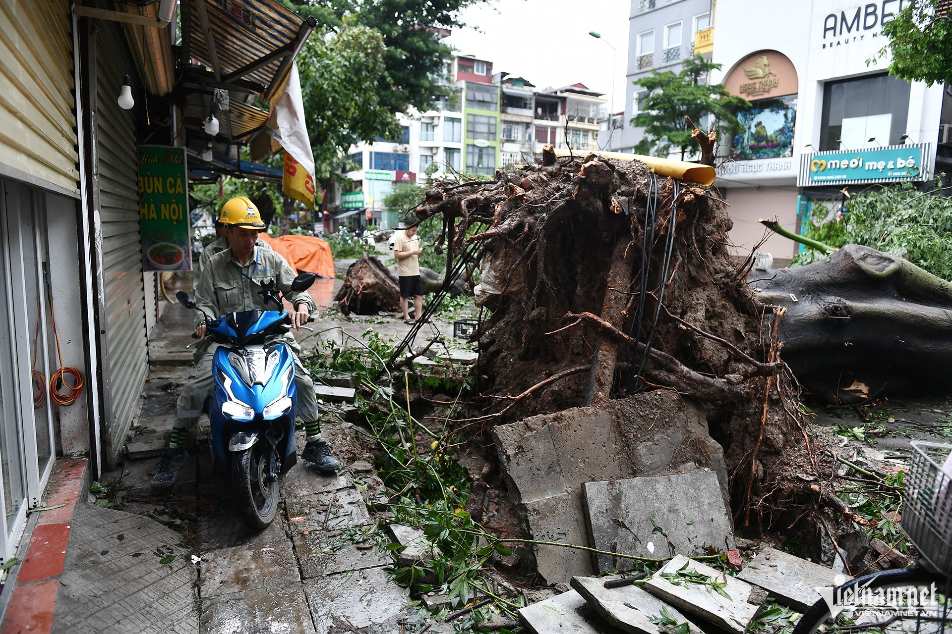 Phố đi bộ tan tác, hàng phở Thìn Bờ Hồ bị cây đổ sập tường sau bão Yagi-14