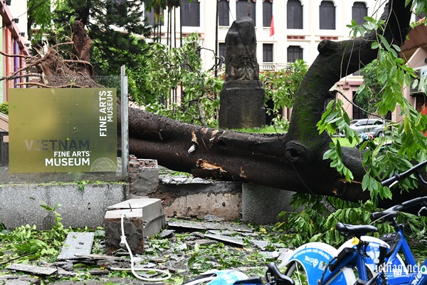 Hình ảnh nhói lòng trong siêu bão Yagi-21