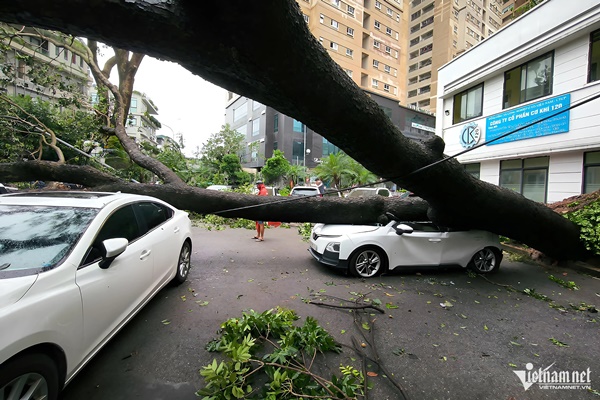 Hình ảnh nhói lòng trong siêu bão Yagi-24