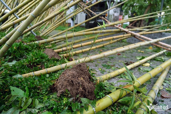 Hình ảnh nhói lòng trong siêu bão Yagi-27