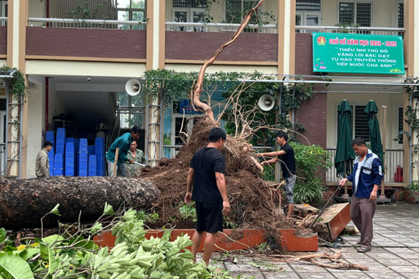 Học sinh Hà Nội chưa đi học trở lại nếu trường không đủ an toàn sau bão Yagi-1