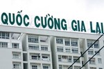 Đình chỉ các kiểm toán viên ký báo cáo tài chính cho Quốc Cường Gia Lai-2