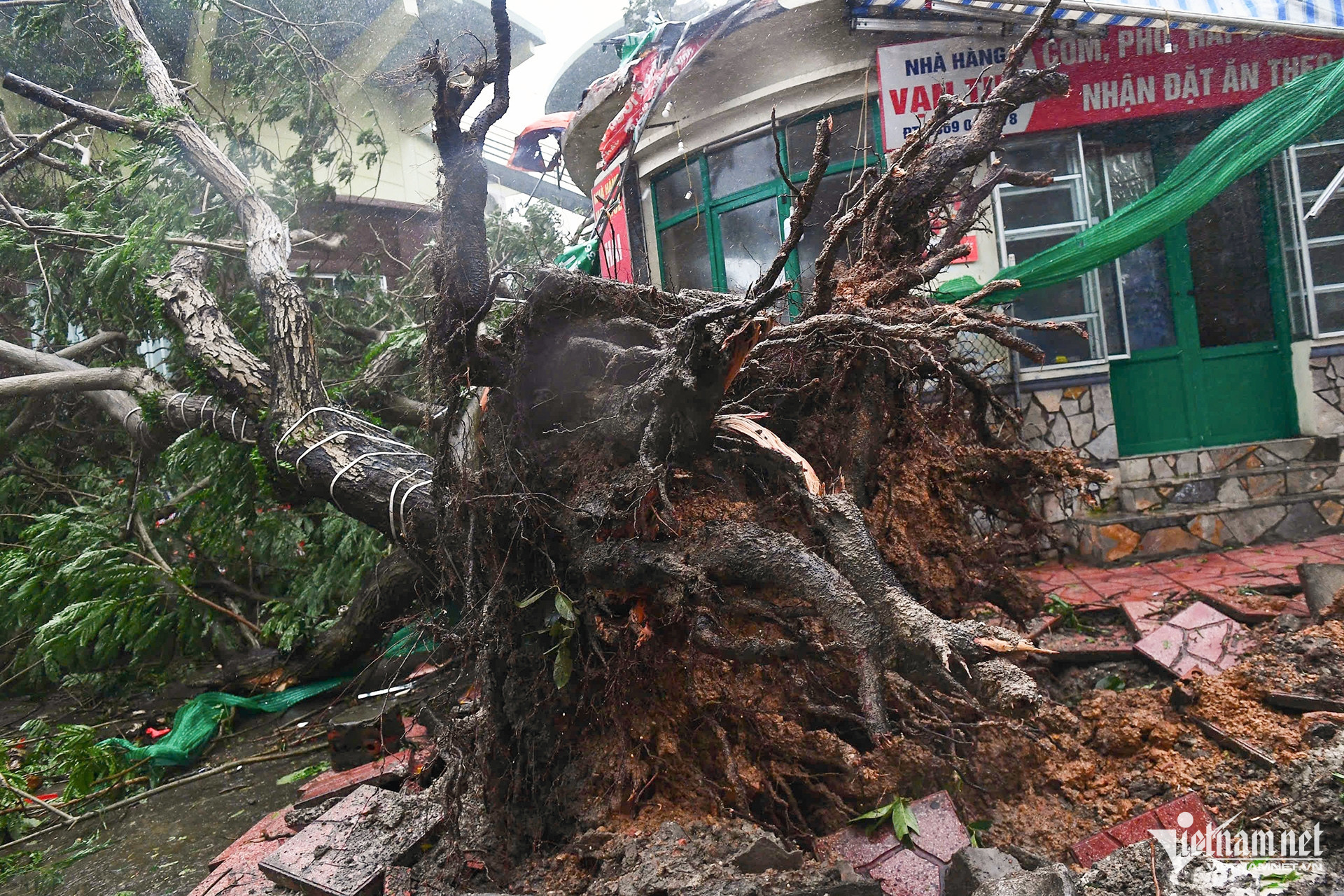 Toàn cảnh bão Yagi tàn phá vùng đất mỏ Quảng Ninh-3