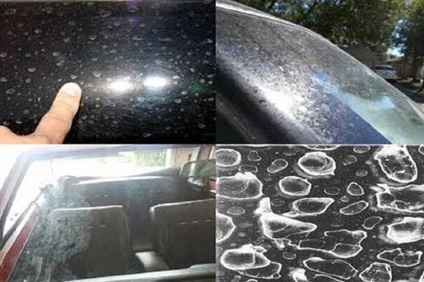 Mặc đồ bơi màu nào an toàn nhất?-3