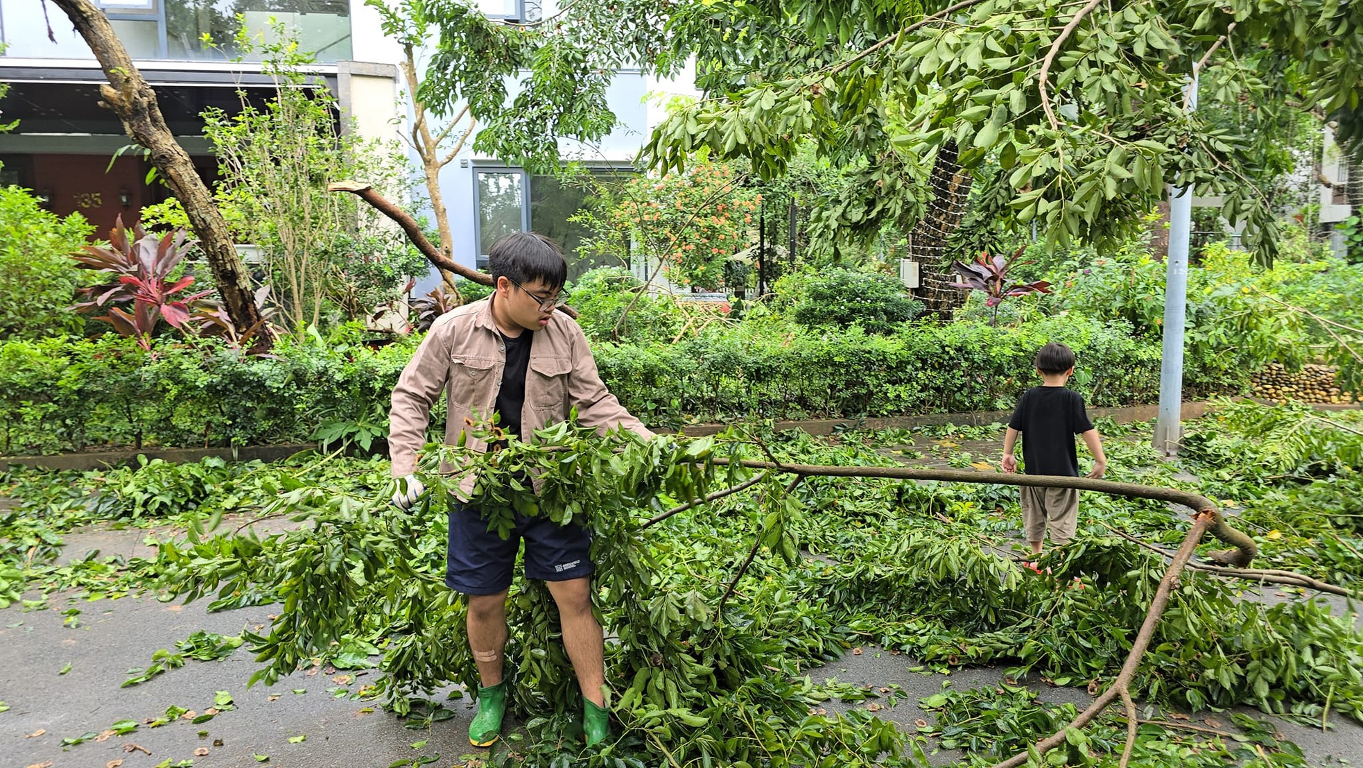 Cây xà cừ trăm tuổi bật gốc, cảnh nát tan ở nhà nhiều nghệ sĩ Việt-14